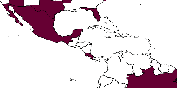 map of Alphomelon winniewertzae     Deans in Deans, Whitfield & Janzen , 2003